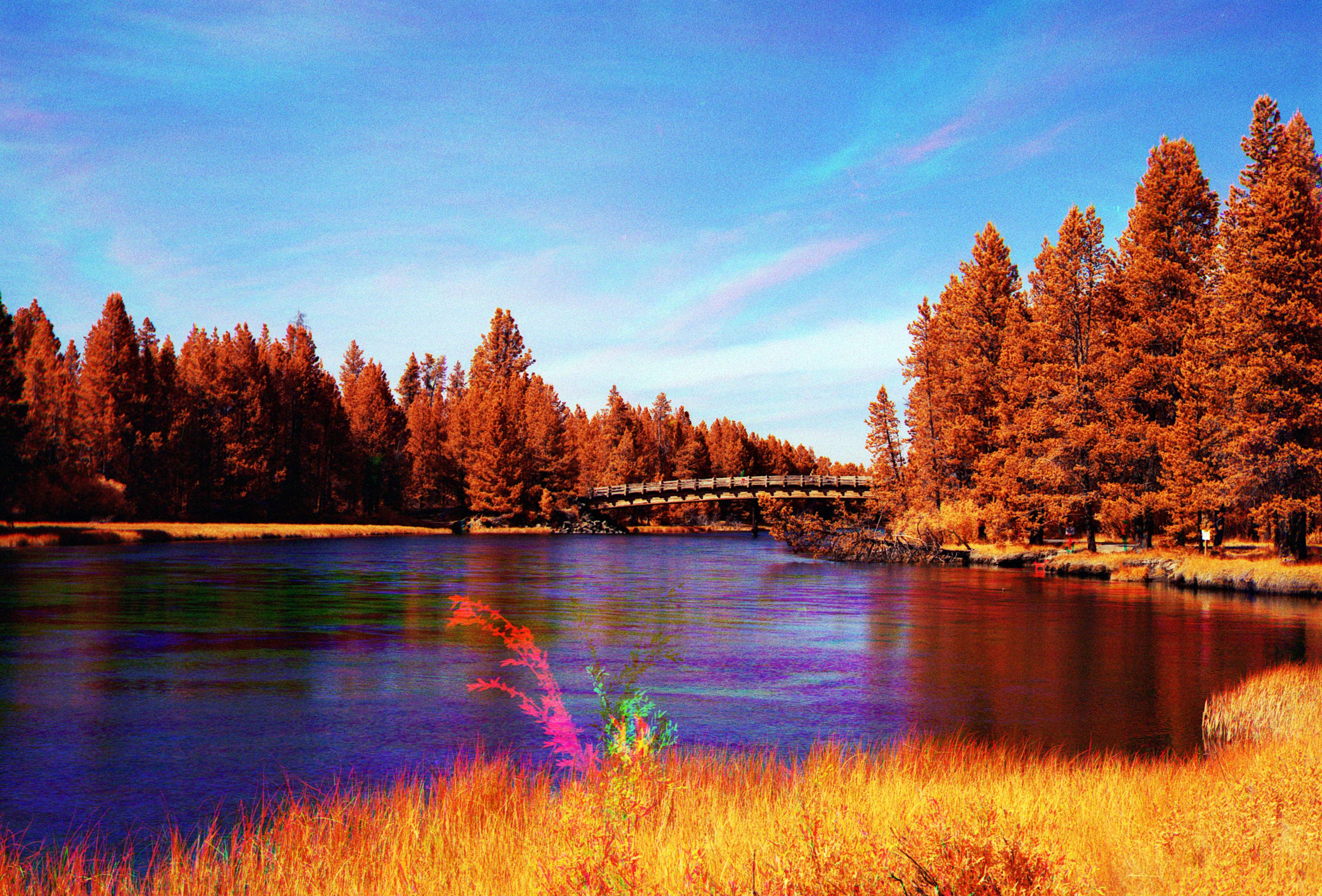 Landscape of a river surrounded by trees. There is a wooden bridge going across it. The trees and foliage are orange.